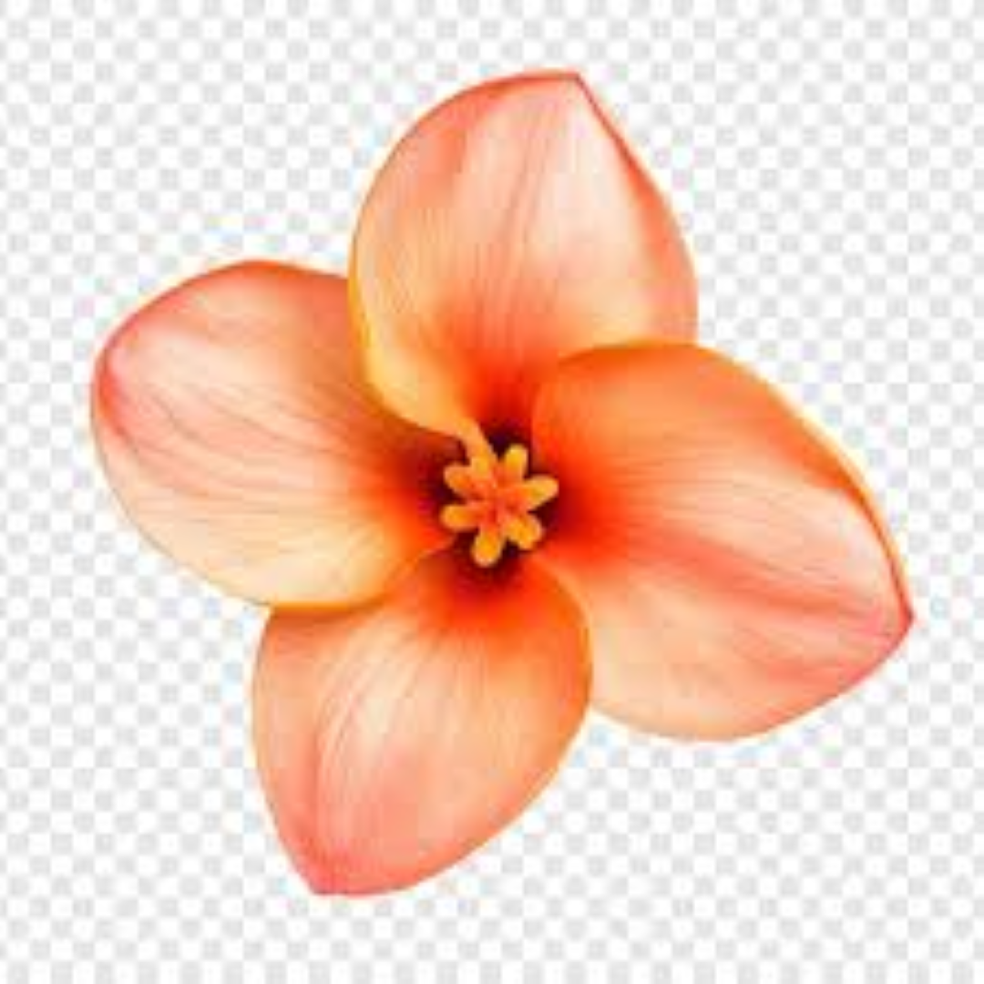 TROPIKAL ORANGE BLOSSOM 180ML